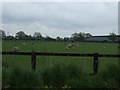 Grazing land near Bromley Cross