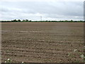 Farmland south of Clacton Road