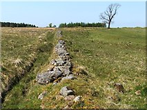 NS4560 : Old field boundary by Lairich Rig