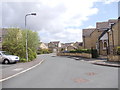 Looking back along Pintail Avenue