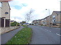 Redpoll Way - viewed from Shrike Close