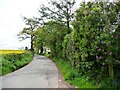 Sudlow Lane at Sudlow Farm