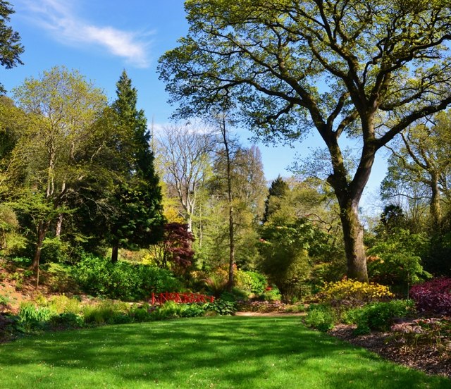 Abbotsbury Subtropical Gardens Mr Eugene Birchall Cc By Sa Geograph Britain And Ireland