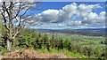 Northeast to Dalbeattie from Kirkennan Hill