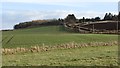 Arable land, Elcho