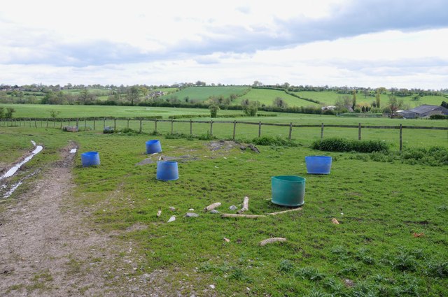 Feeding bins in a grass paddock