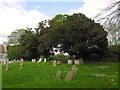 SU2232 : All Saints', Winterslow: churchyard (c) by Basher Eyre