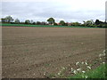 Farmland off the B1027