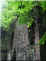 W8766 : Ruins of Rostellan Castle Walled garden by Tim FitzGerald