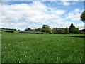 SO3310 : Farmland near Llangattock House by David Purchase