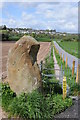 Standing stone and footpath