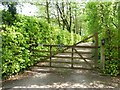 Entrance to Orchard Cottage, Plumley Moor