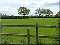 Farmland east of Common Lane