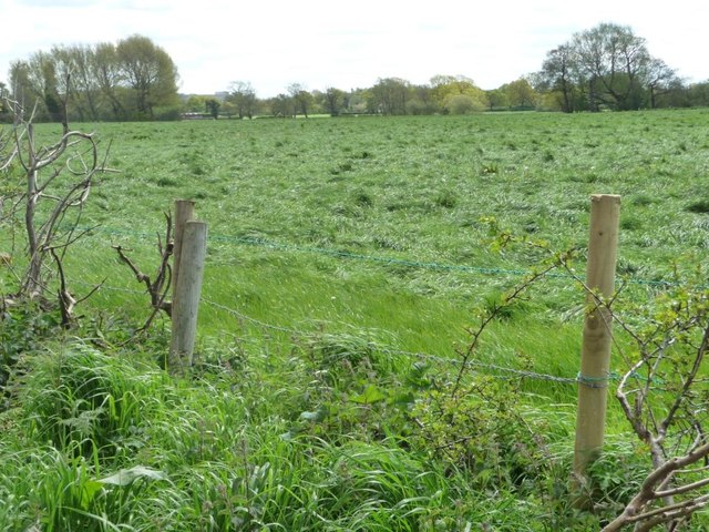 Barbed wire fence alongside the B5082