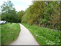 Footpath alongside the woodland, Shakerley Mere