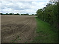 Footpath towards Swinderby