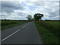 Halfway House Lane towards Swinderby