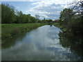 The River Witham