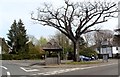 Thatched bus stop, Yoxford, Suffolk