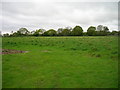 Farmland, Weeley Heath