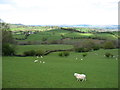 Fields above the Duhonw stream