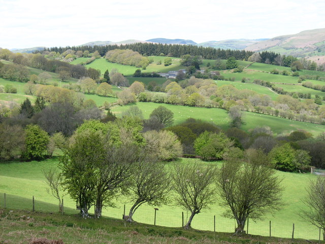 The fields of Hendy Farm