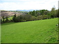 Above the River Wye