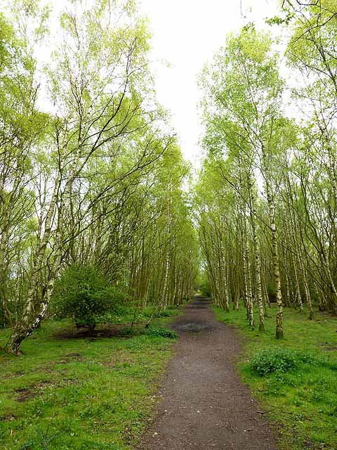 Path through Havannah/Three Hills Nature Reserve