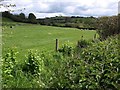 Fields next to the minor road along the Kester Brook valley