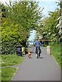 Cycling the dog