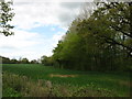 Field and woods north of Glasbury