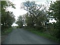 Firs Lane approaching Crab Tree House