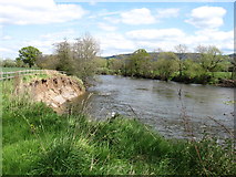 SO2042 : The River Wye, looking downstream by David Purchase