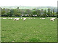 Fields just north of Hay-on-Wye