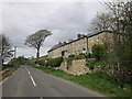 Houses at Spartylea