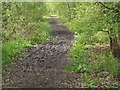 SU7630 : Muddy Path, Greatham by Colin Smith