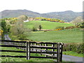 Cottage on Carrickcloghan Hill