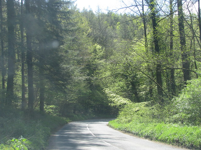 Road to South Molton