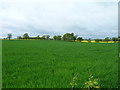 Farmland off the B1035