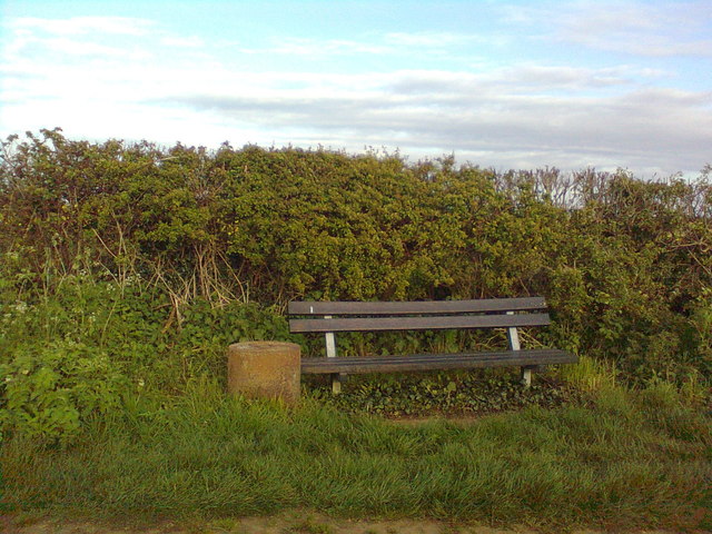 Seat and picnic table