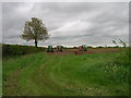 Farmland off Hadleigh Road