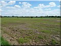 Large field south of New Platt Lane