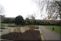 Flower beds, Sayes Court Park