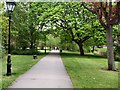 Path by River Great Ouse