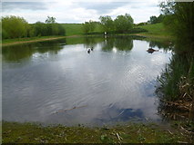 TQ2967 : One Island Pond, Mitcham Common by Marathon
