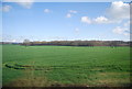TQ8943 : Farmland by Dering Wood by N Chadwick