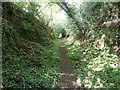 Footpath 1163/2 between Fyning and Terwick Common