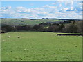 Rough pastures east of Hollingreen