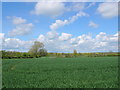 Flood Plain of the Stour