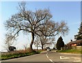 Wantisden Corner, Suffolk